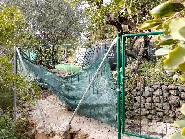 Imagen 9 Inmueble 300780 - Solar Rústico en venta en Figueroles / Diirección Lucena del Cil, a 1 kmt del pueblo