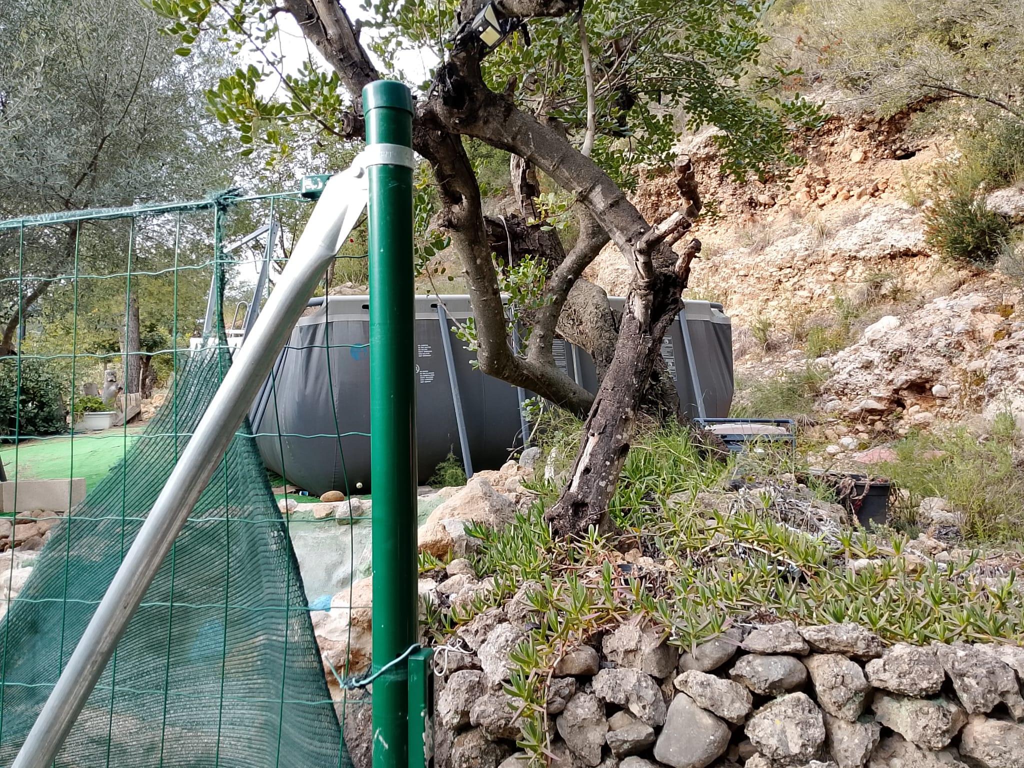 Imagen 14 Solar Rústico en venta en Figueroles / Diirección Lucena del Cil, a 1 kmt del pueblo