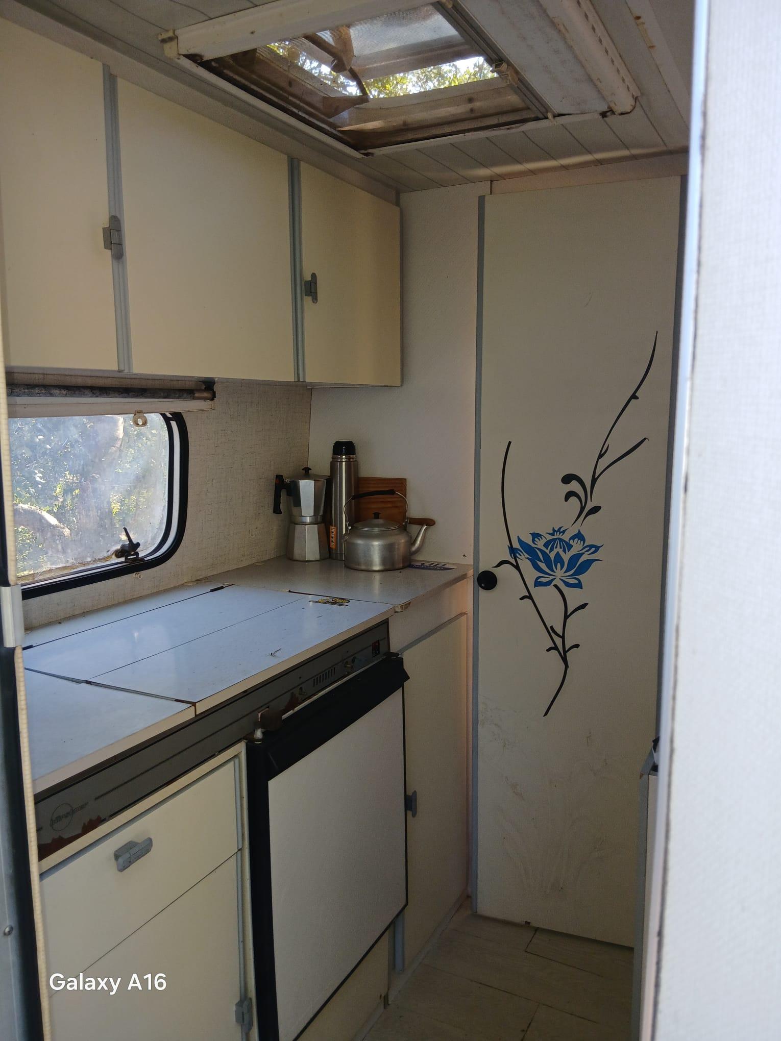 Imagen 15 Solar Rústico en venta en Figueroles /  Dirección Lucena Del Cid