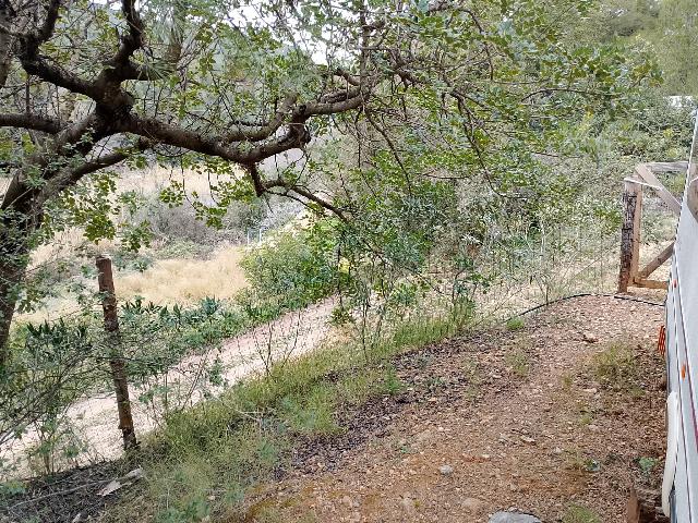 Imagen 7 Inmueble 301029 - Solar Rústico en venta en Figueroles /  Dirección Lucena Del Cid