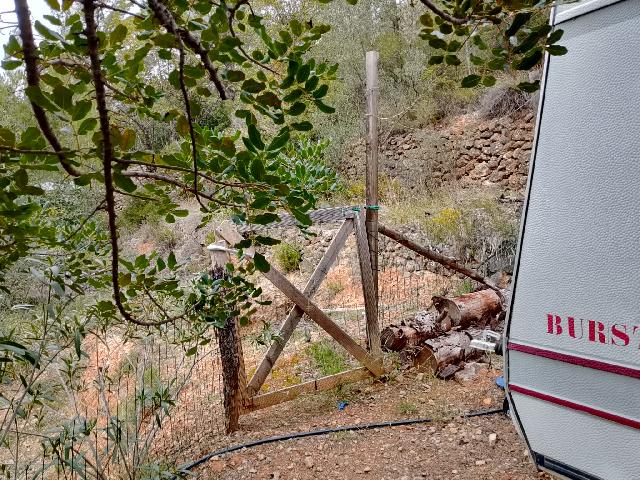 Imagen 10 Inmueble 301029 - Solar Rústico en venta en Figueroles /  Dirección Lucena Del Cid