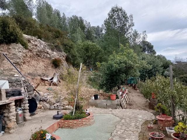 Imagen 11 Inmueble 301029 - Solar Rústico en venta en Figueroles /  Dirección Lucena Del Cid