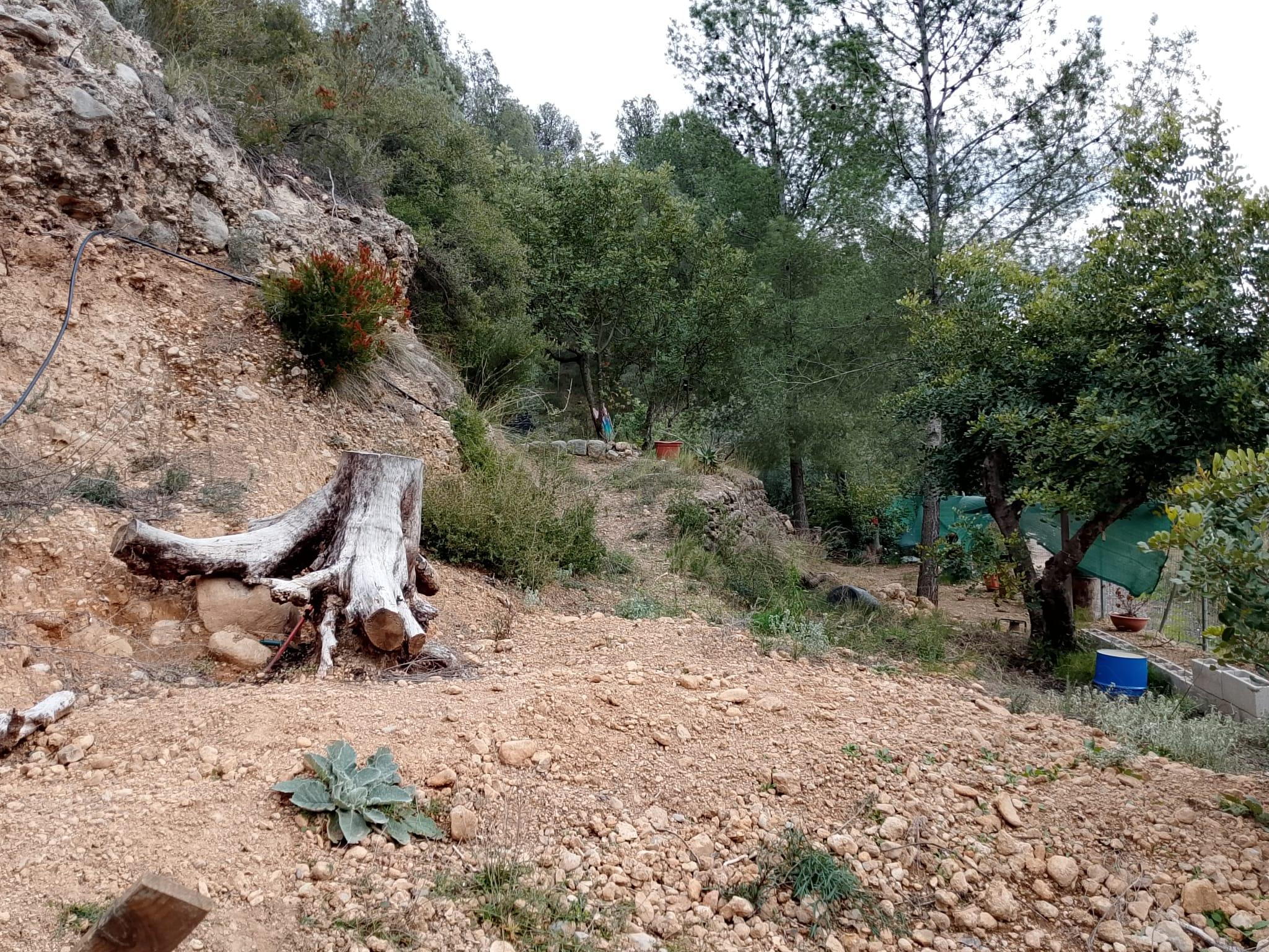 Imagen 13 Solar Rústico en venta en Figueroles /  Dirección Lucena Del Cid