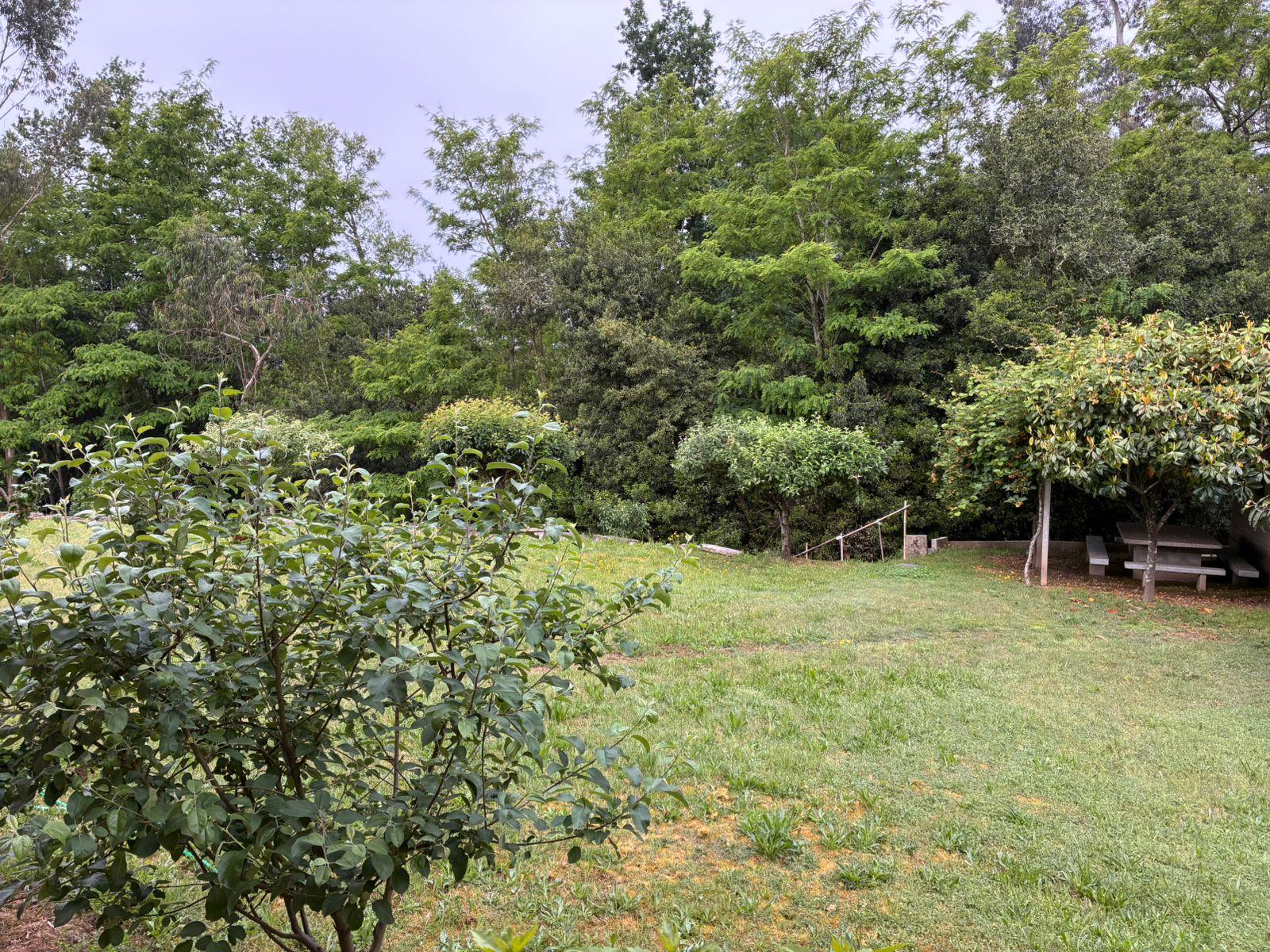 Imagen 35 Casa Aislada en venta en Porriño O / A 10 min del centro de Porriño 