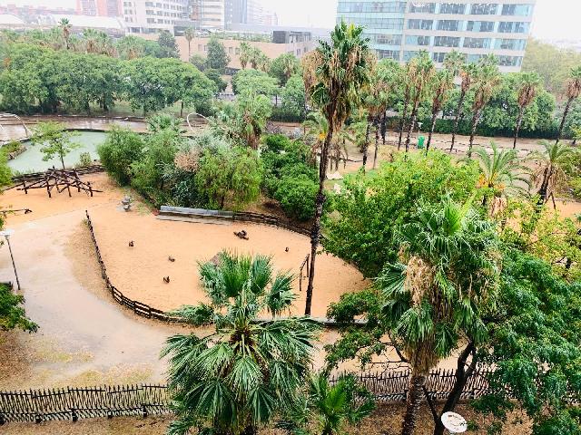 Imagen 1 Inmueble 303831 - Piso en venta en Barcelona / Diagonal Mar - García Fària