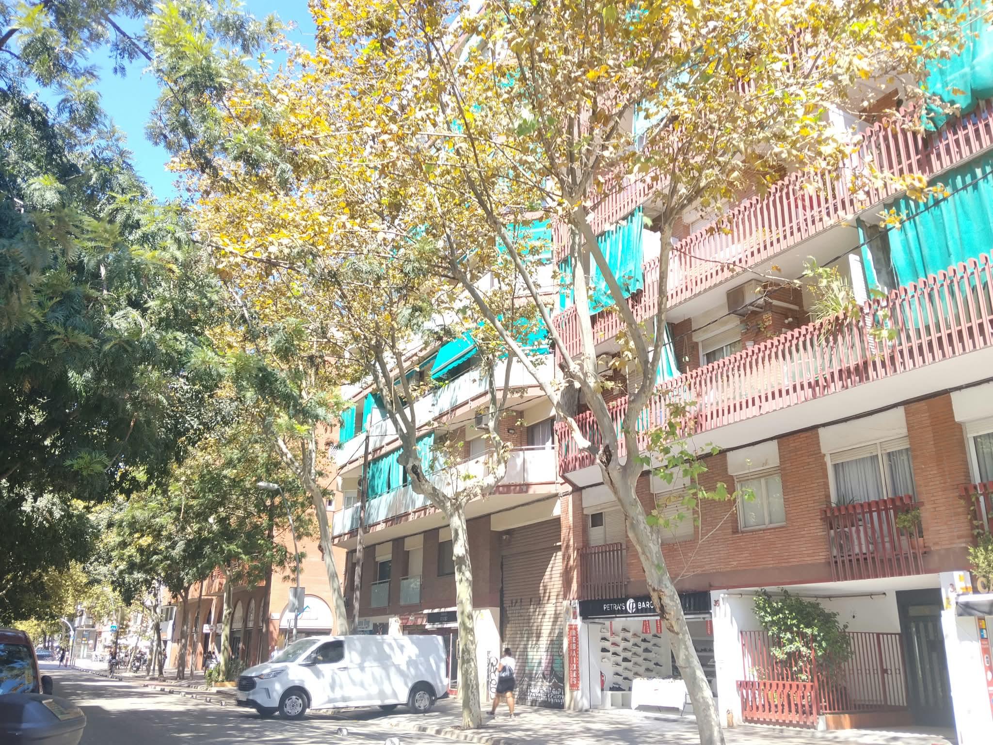 Imagen 14 Piso en venta en Barcelona / Bilbao - El Poblenou