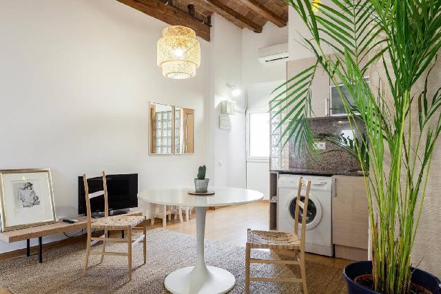 Imagen 1 Inmueble 306142 - Piso en venta en Barcelona / Tallers - Ciutat Vella