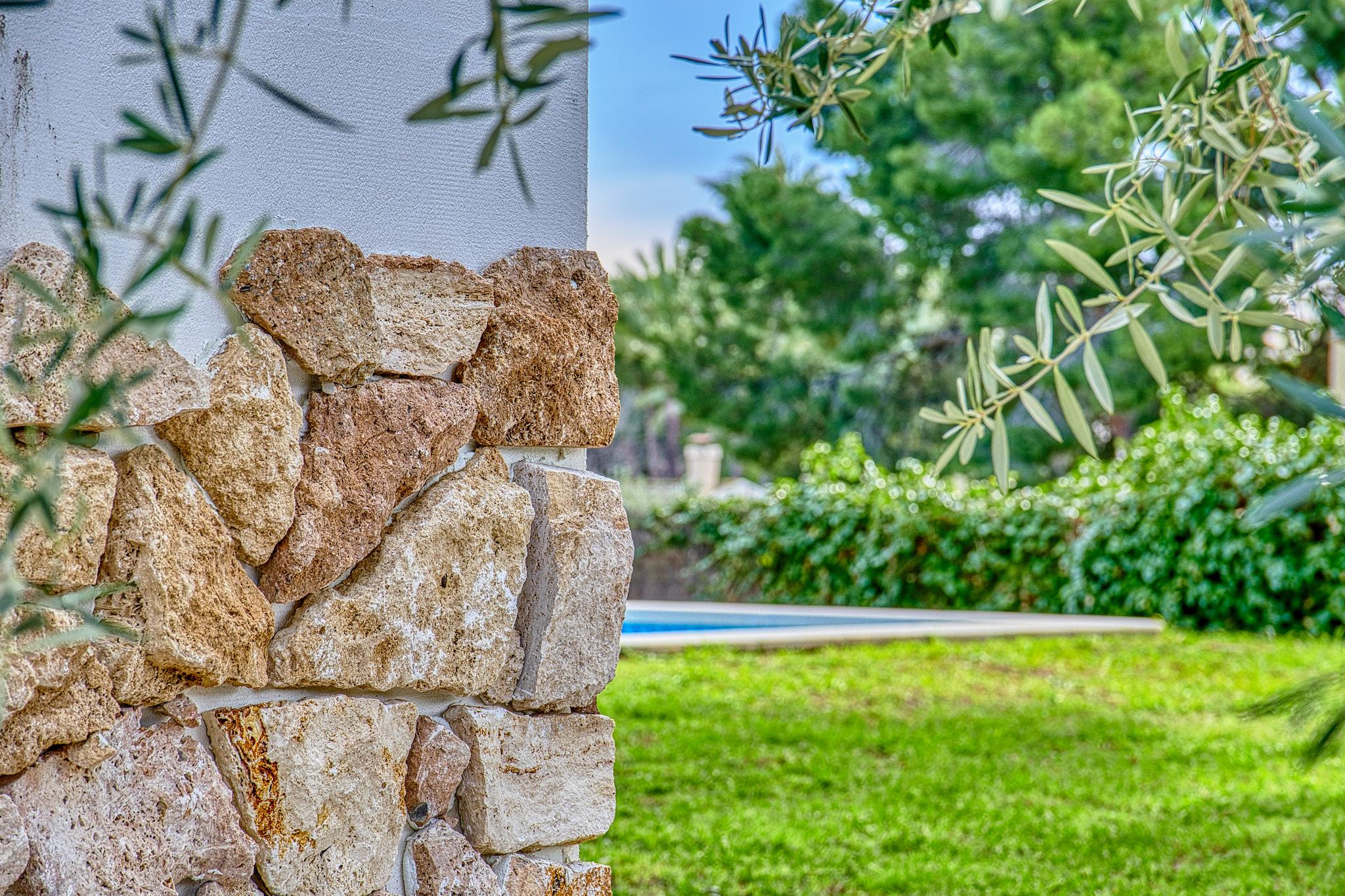 Imagen 9 Casa Aislada en venta en Elche/elx / Carretera Elche- Santa Pola