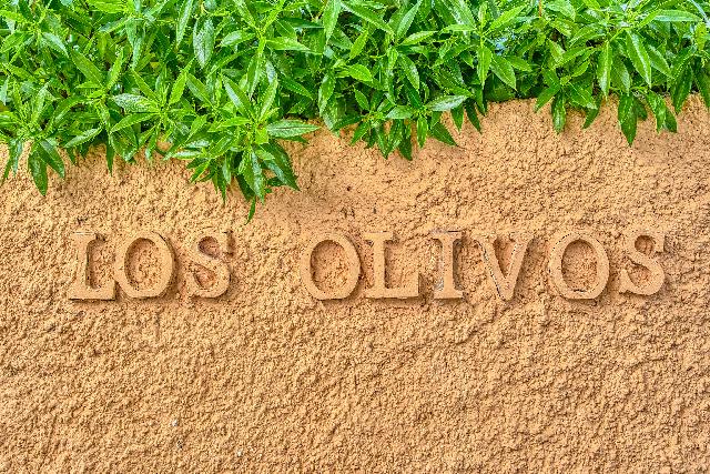 Imagen 1 Inmueble 300836 - Casa Aislada en venta en Elche/elx / Carretera Elche- Santa Pola