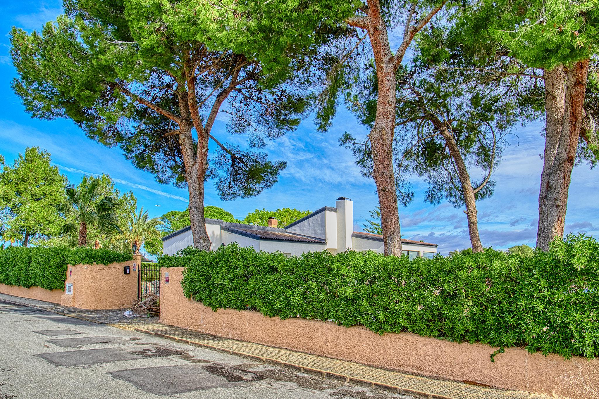 Imagen 24 Casa Aislada en venta en Elche/elx / Carretera Elche- Santa Pola