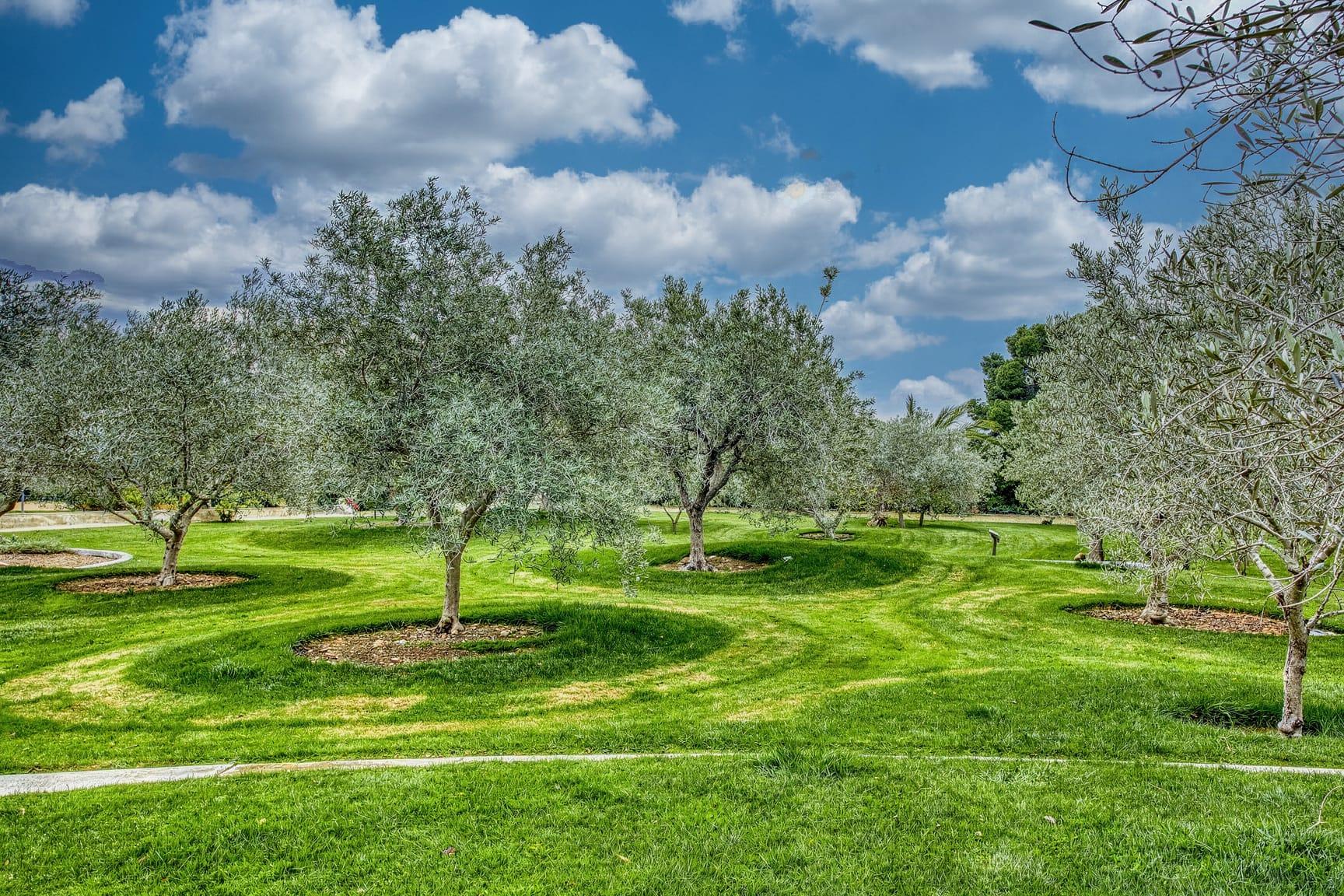 Imagen 31 Casa Aislada en venta en Elche/elx / Carretera Elche- Santa Pola