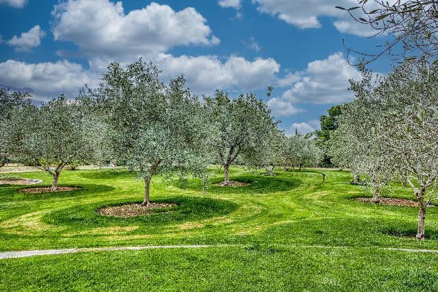 Imagen 31 Inmueble 300836 - Casa Aislada en venta en Elche/elx / Carretera Elche- Santa Pola