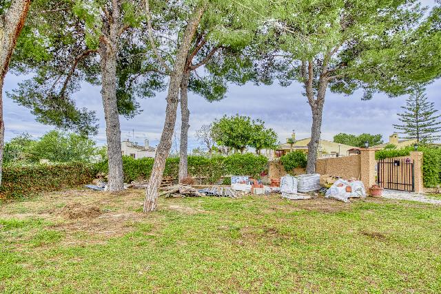 Imagen 27 Inmueble 300836 - Casa Aislada en venta en Elche/elx / Carretera Elche- Santa Pola