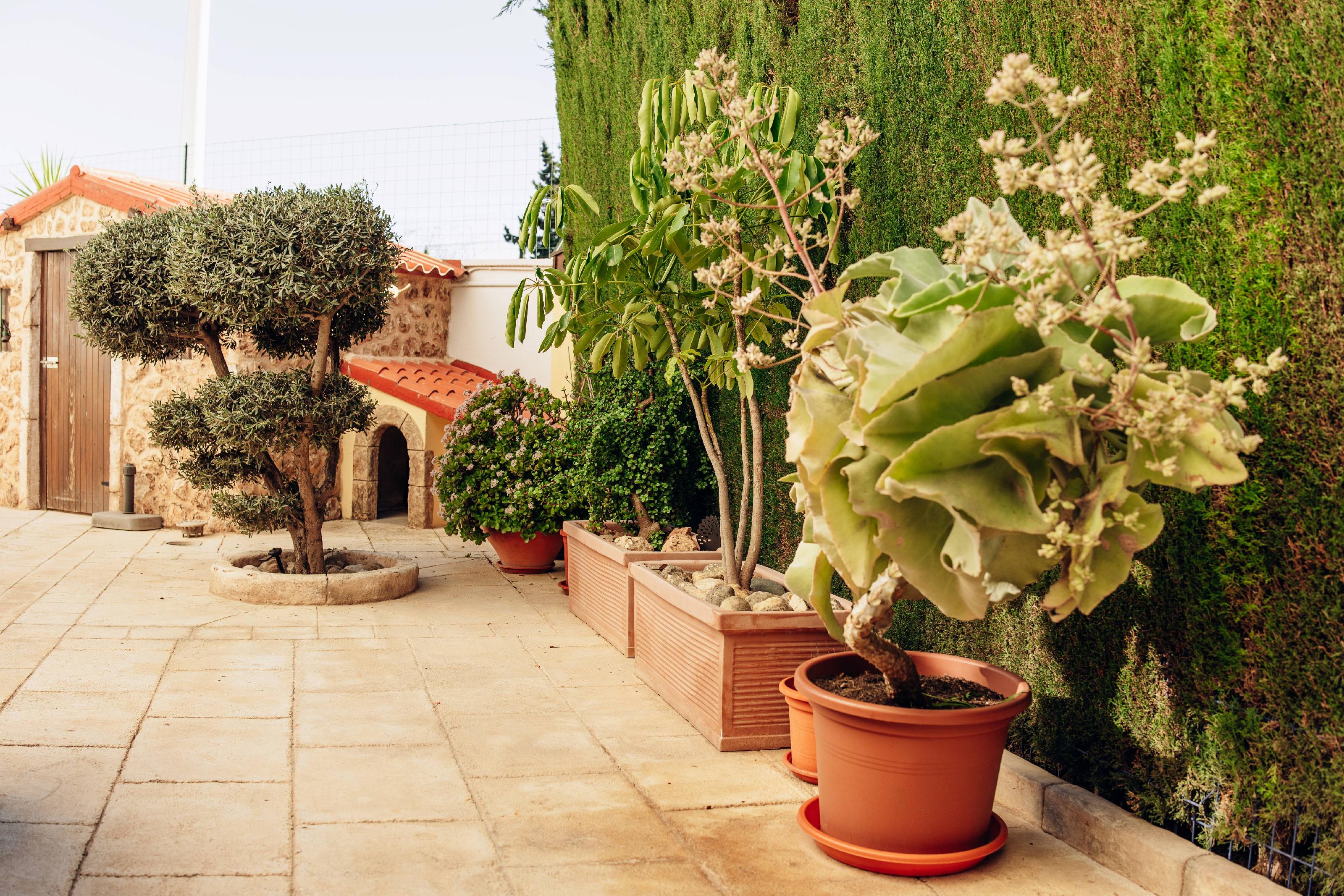 Imagen 12 Casa Aislada en venta en Elche/elx / Pedania de valverde en elche