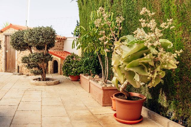 Imagen 12 Inmueble 300938 - Casa Aislada en venta en Elche/elx / Pedania de valverde en elche