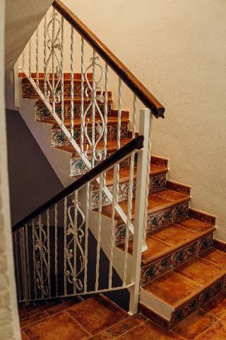 Imagen 17 Inmueble 300938 - Casa Aislada en venta en Elche/elx / Pedania de valverde en elche