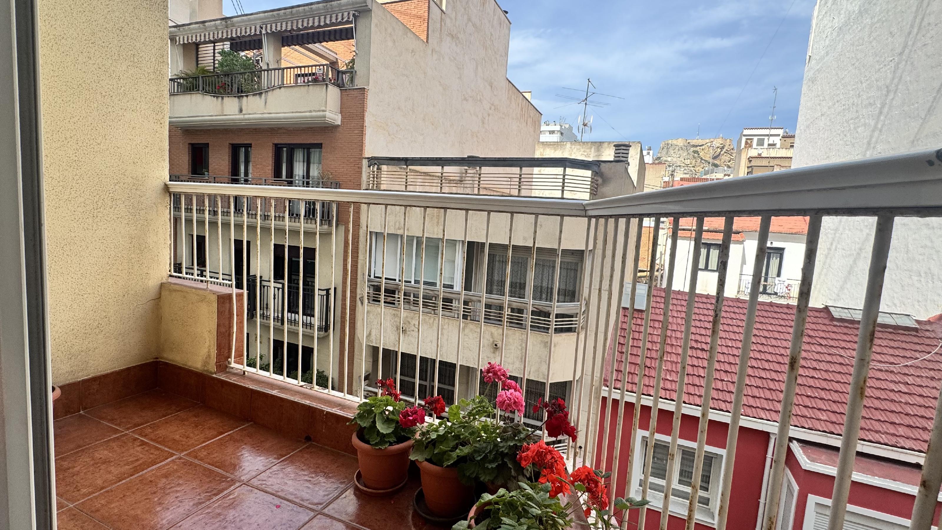 Imagen 1 Apartamento en venta en Alicante/alacant / Entre Mercado y Luceros