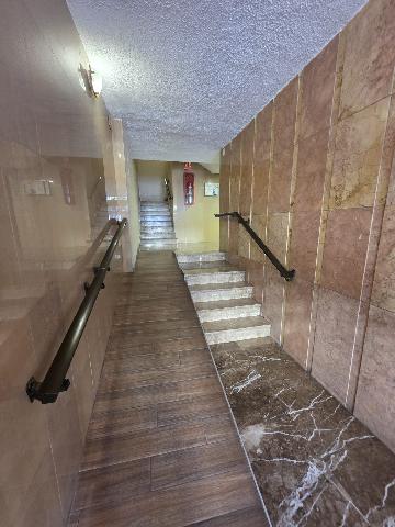 Imagen 3 Inmueble 304271 - Piso en venta en Alicante/alacant / Av. Novelda 