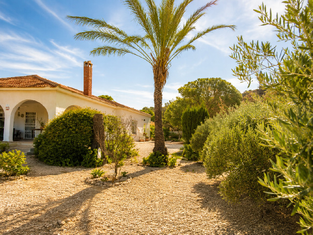 Imagen 2 Inmueble 305261 - Casa en venta en Alicante/alacant / Fontcalent - El Moralet