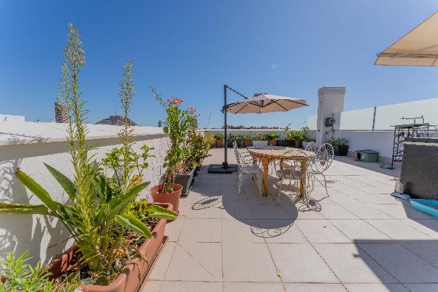 Imagen 31 Inmueble 305654 - Ático en venta en Alicante/alacant / Junto a Avenida de Elche y Benalúa