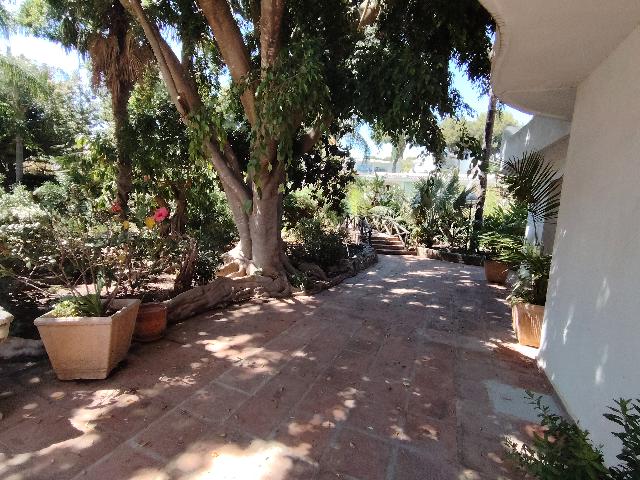 Imagen 19 Inmueble 303563 - Apartamento en venta en Mijas / Urbanizacion Miraflores 2, muy cerca de la playa 