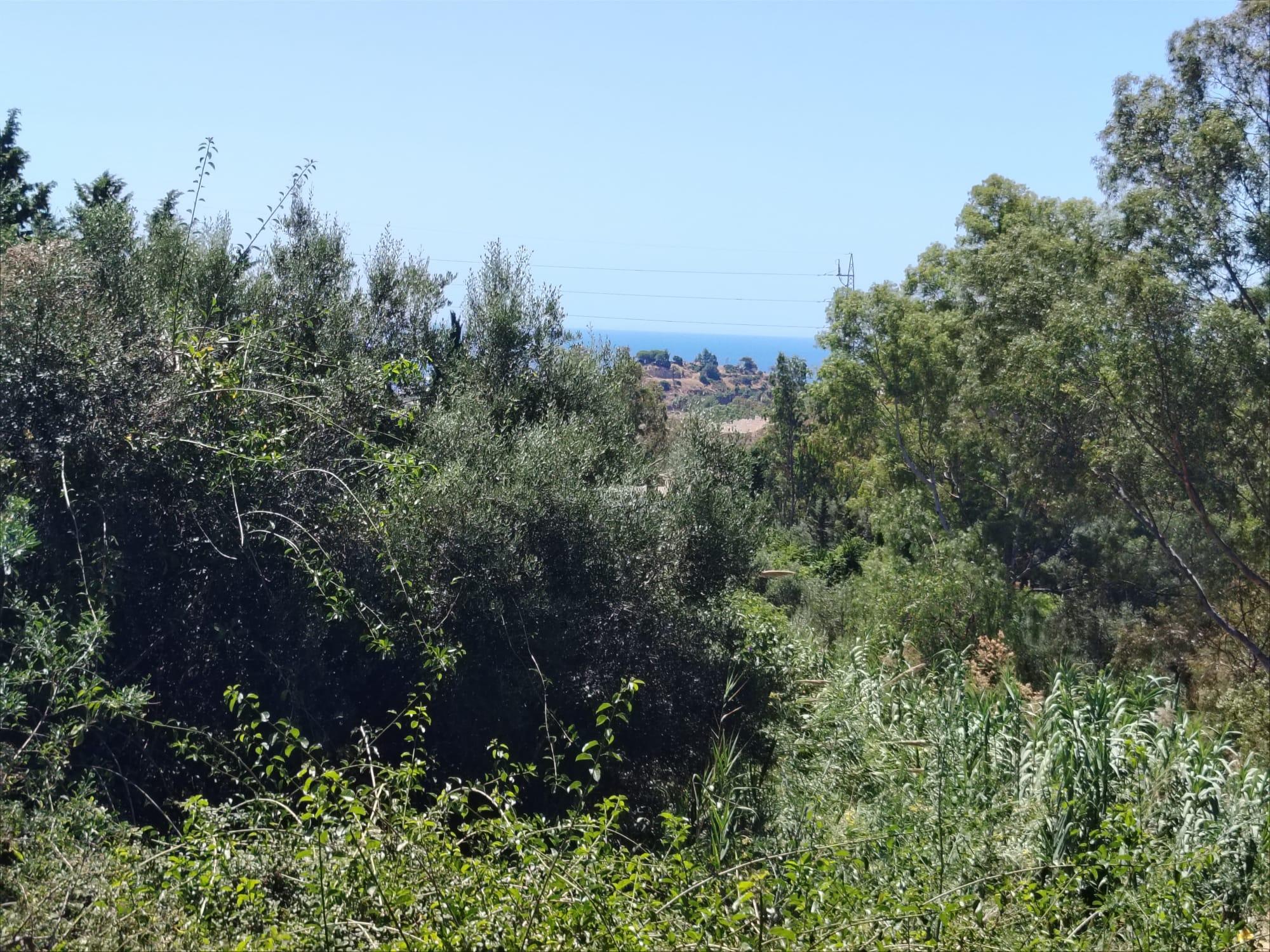 Imagen 7 Solar Urbano en venta en Benalmádena / Servicios: centros médicos, zona comercial y transporte