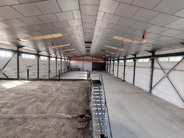 Imagen 9 Inmueble 305120 - Local Industrial en venta en Coín / Cerca de la interseccion entre la A-355 y la a-7059