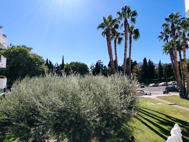 Imagen 8 Inmueble 305497 - Apartamento en alquiler en Benalmádena / Frente a Parque La Paloma, 150 metros del mar 