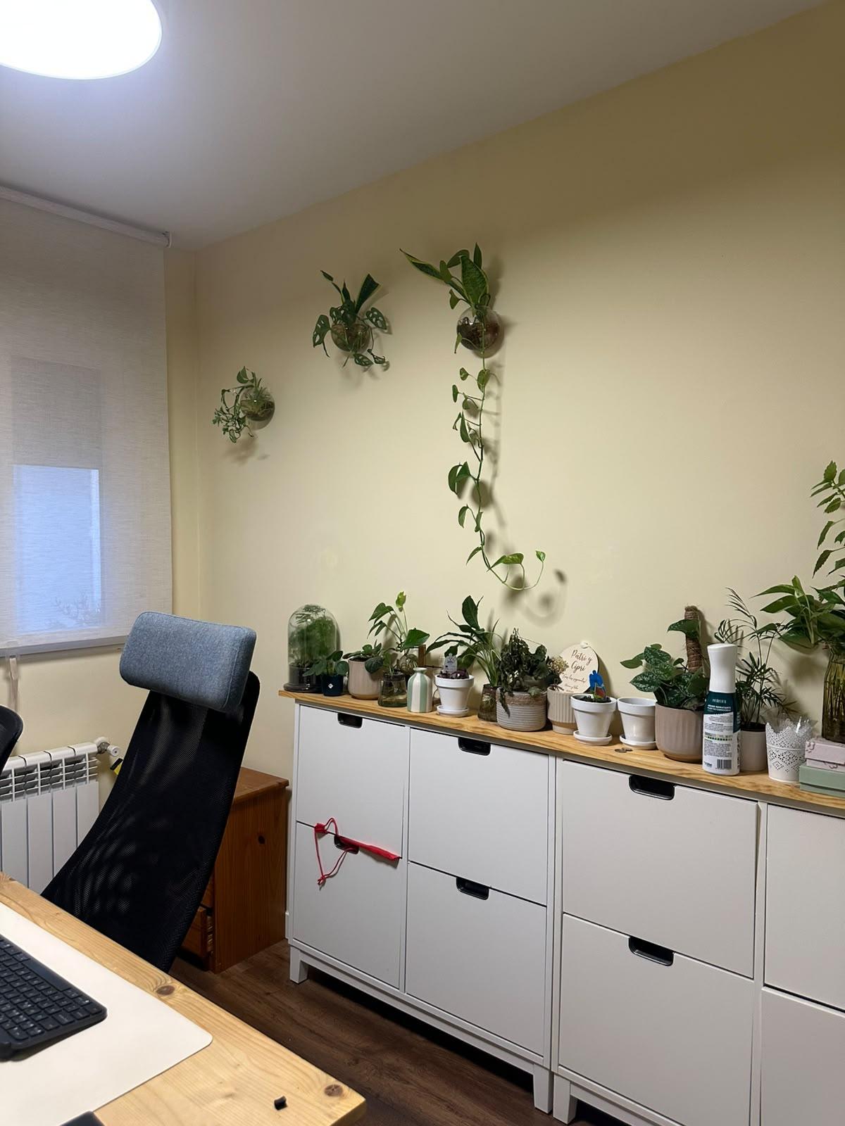 Imagen 18 Piso en venta en Madrid / Junto al Parque Travesía de la Plata