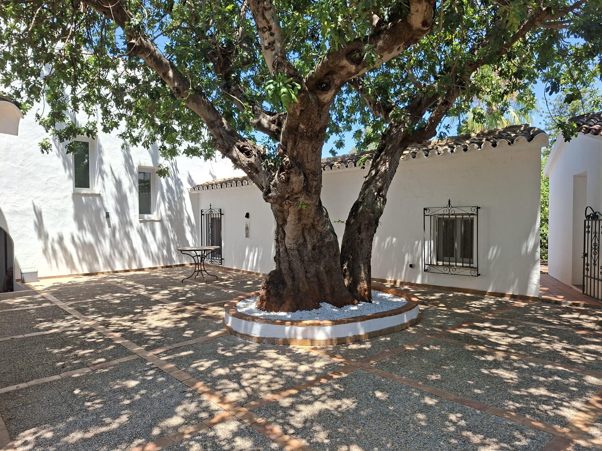 Imagen 6 Casa Aislada en venta en Dénia / Zona santa lucia área residencia cerca de Denia