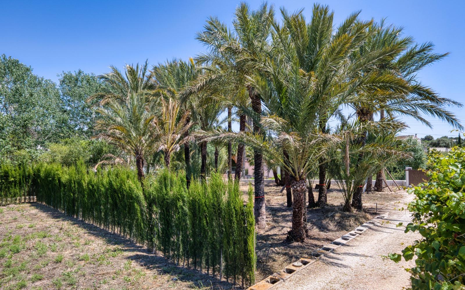 Imagen 12 Casa Rústica en venta en Teulada / Termino teulada-moraira