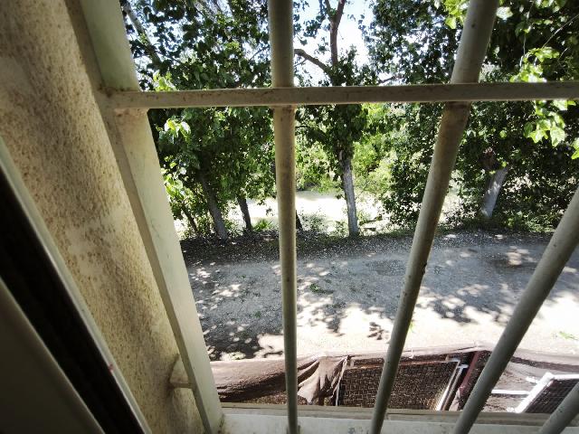 Imagen 16 Inmueble 302229 - Casa Aislada en venta en Alguazas / Casa junto al río con parcela de 4000 metros 