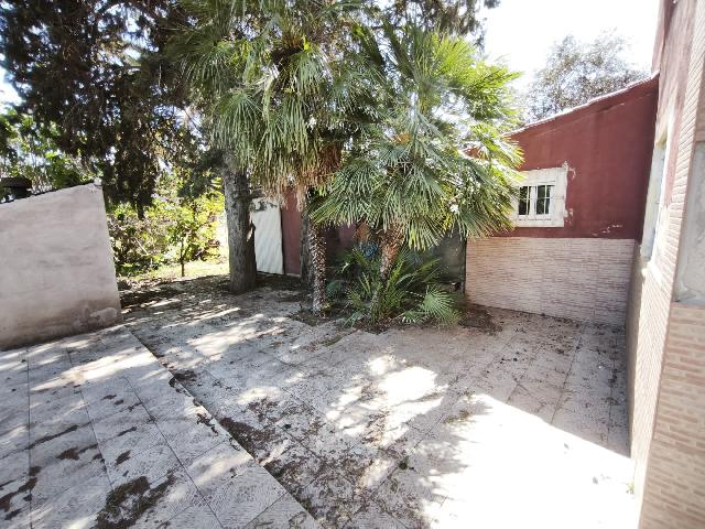 Imagen 3 Inmueble 302229 - Casa Aislada en venta en Alguazas / Casa junto al río con parcela de 4000 metros 