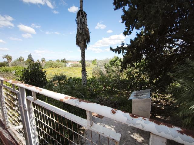 Imagen 18 Inmueble 302229 - Casa Aislada en venta en Alguazas / Casa junto al río con parcela de 4000 metros 