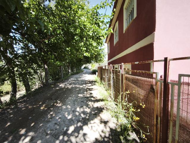 Imagen 9 Inmueble 302229 - Casa Aislada en venta en Alguazas / Casa junto al río con parcela de 4000 metros 