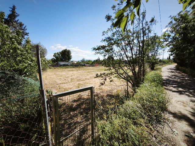 Imagen 6 Inmueble 302229 - Casa Aislada en venta en Alguazas / Casa junto al río con parcela de 4000 metros 