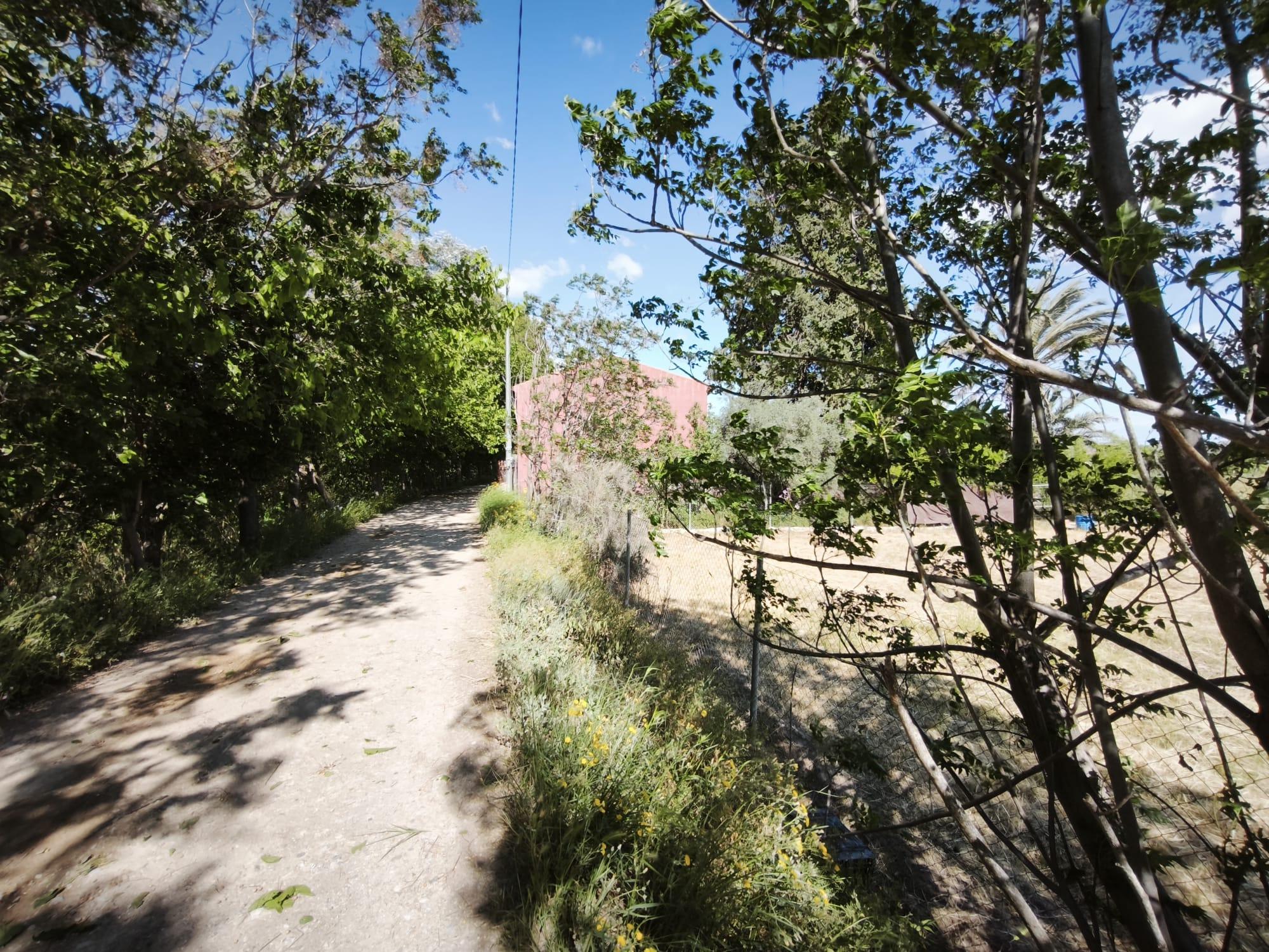 Imagen 12 Casa Aislada en venta en Alguazas / Casa junto al río con parcela de 4000 metros 