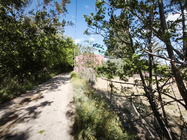 Imagen 12 Inmueble 302229 - Casa Aislada en venta en Alguazas / Casa junto al río con parcela de 4000 metros 