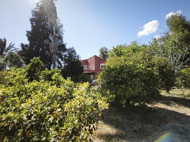 Imagen 8 Inmueble 302229 - Casa Aislada en venta en Alguazas / Casa junto al río con parcela de 4000 metros 