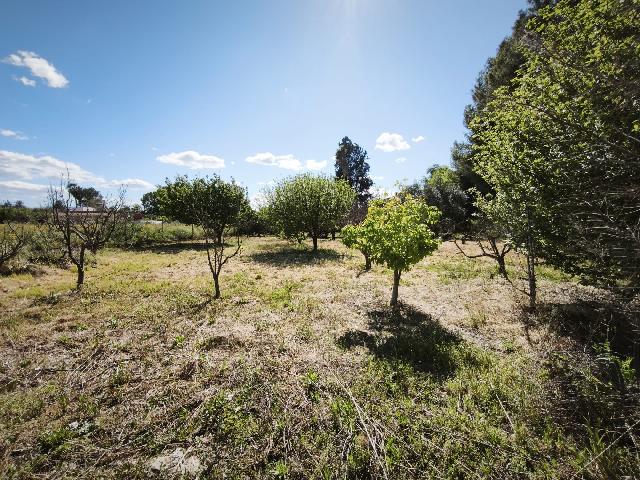 Imagen 15 Inmueble 302229 - Casa Aislada en venta en Alguazas / Casa junto al río con parcela de 4000 metros 