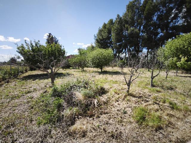 Imagen 7 Inmueble 302229 - Casa Aislada en venta en Alguazas / Casa junto al río con parcela de 4000 metros 