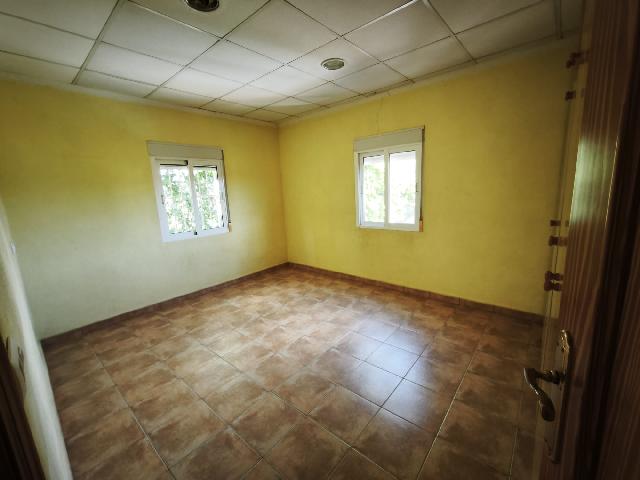 Imagen 34 Inmueble 302229 - Casa Aislada en venta en Alguazas / Casa junto al río con parcela de 4000 metros 