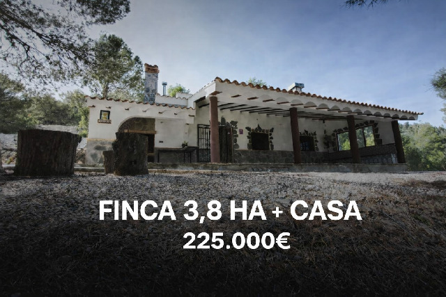 Imagen 1 Inmueble 302449 - Casa Aislada en venta en Lorca / Zona de monte junto a Zarcilla deTotana