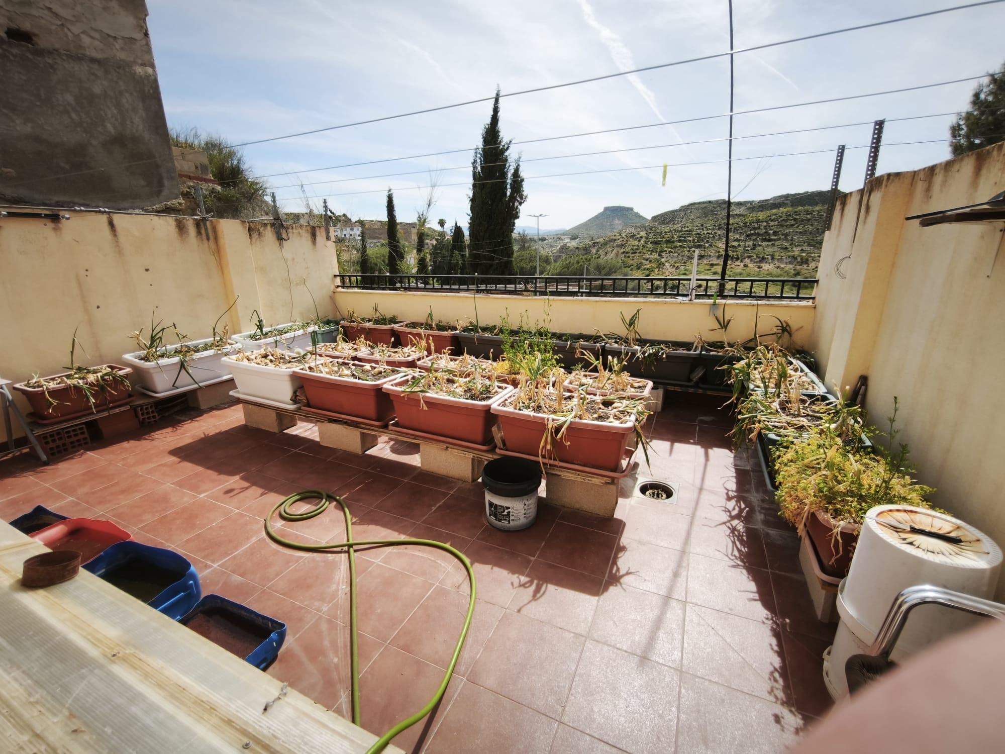 Imagen 35 Casa Pareada en venta en Mula / Barrio de la Misericordia al pasar la iglesia