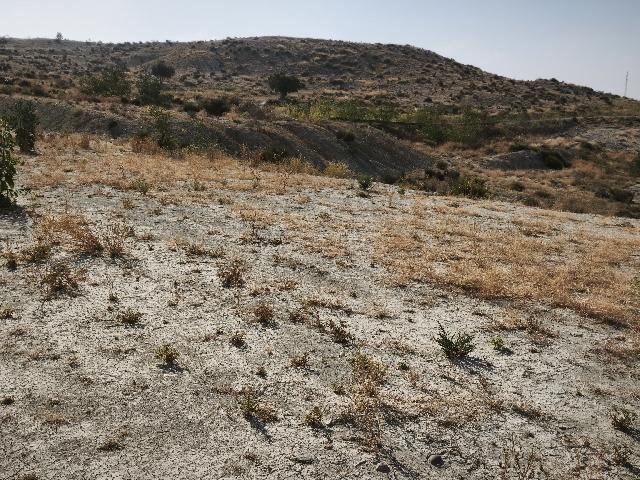 Imagen 2 Inmueble 304058 - Solar Rústico en venta en Campos Del Río / Cerca de campos del rio 