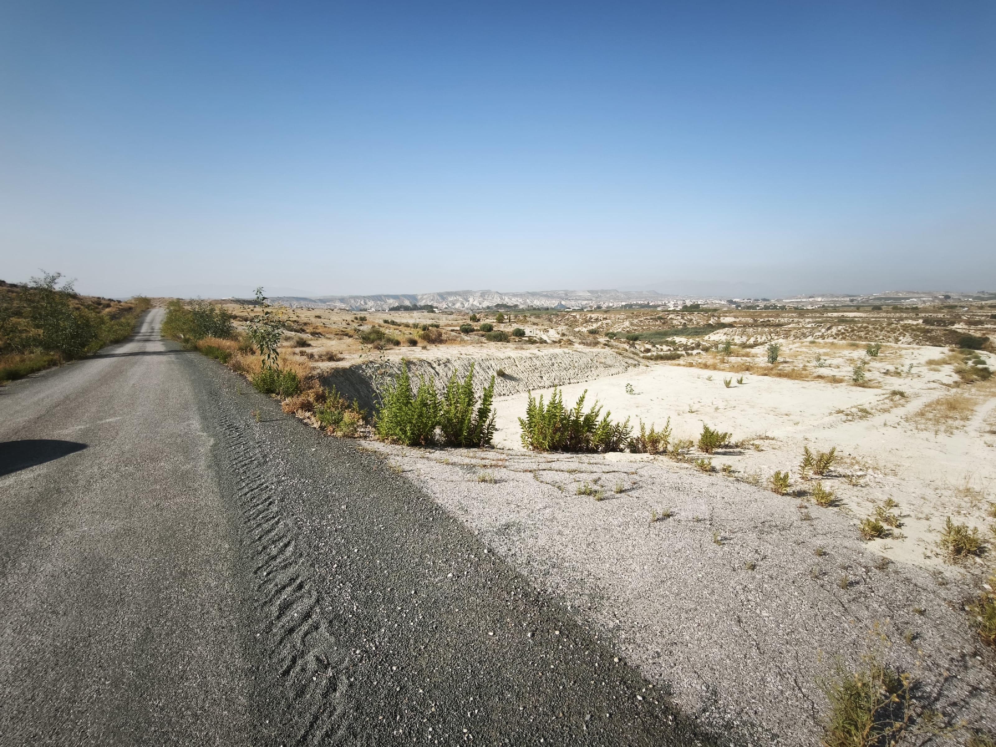 Imagen 3 Solar Rústico en venta en Campos Del Río / Cerca de campos del rio 