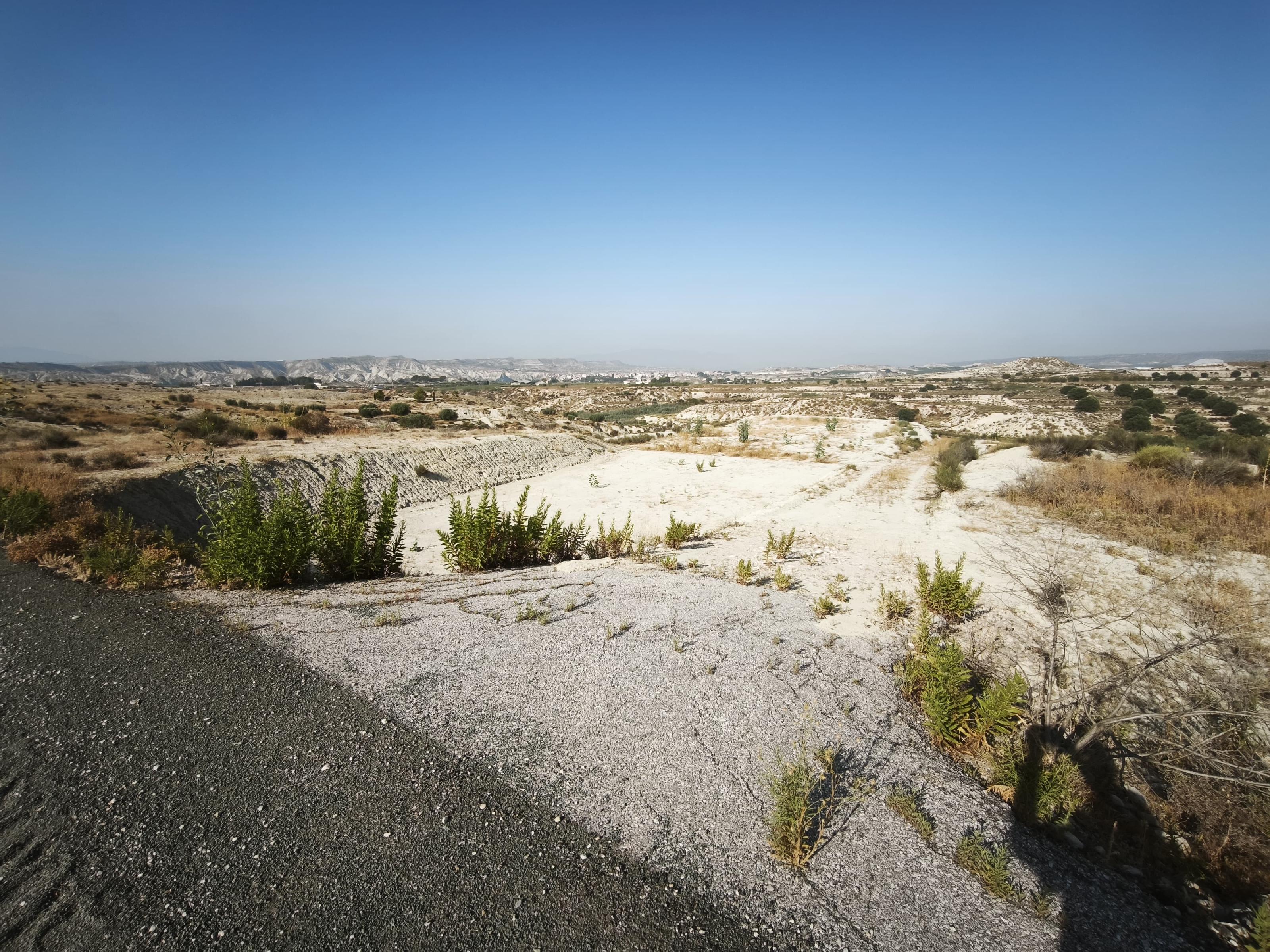 Imagen 8 Solar Rústico en venta en Campos Del Río / Cerca de campos del rio 