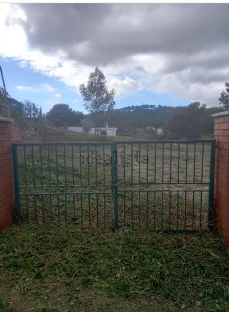 Imagen 2 Solar Urbano en venta en Olivella / C/ Farigola nº 25 Este, Can Suria E ? Olivella. 08818