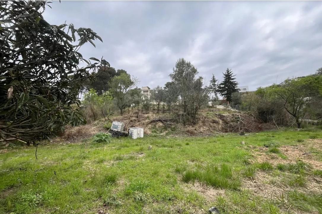 Imagen 4 Local Comercial en venta en Rubí / Sant Muç - Castellnou - Can Mir, Rubí