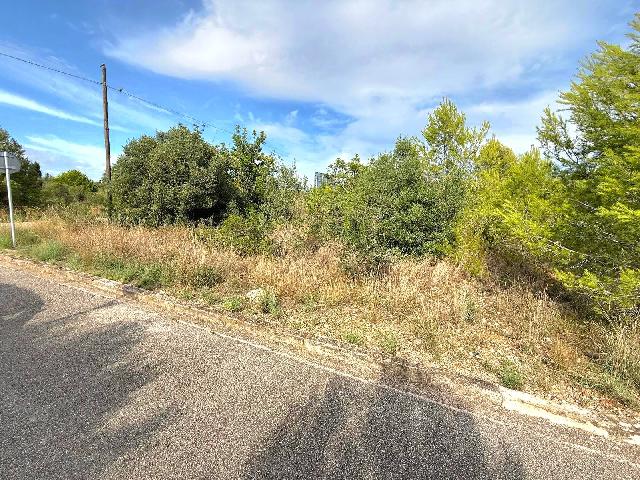 Imagen 3 Inmueble 294617 - Solar Urbano en venta en Vendrell (El) / A 500 metros de la C-31 y cerca del campo de golf.